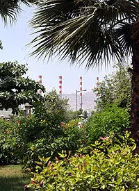 با کاشت  ۳۱۰۰ اصله نهال، به وسعت 161 هکتار فضای سبز این شرکت اضافه شد

