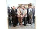 تقدیر عضو شورا از شهرداری تهران برای بازپس‌گیری املاک شهر