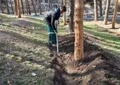 بهسازی بوستان آموزش ترافیک گامی در راستای ایجاد محیطی مدرن برای پرورش فرهنگ ترافیک

