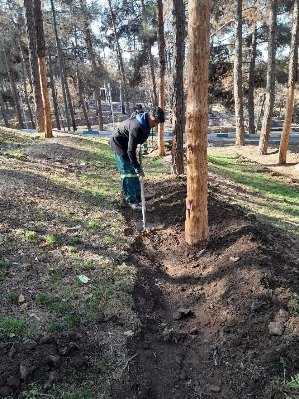لایروبی انهار و به زراعی فضای سبز بوستان جنگلی سرخه حصار

