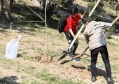 نمایش آیینی تعزیت خورشید در دومین بوستان قدیمی شهر تهران 

