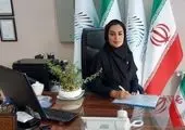 محوریت تمرکز الجی برای آینده از زبان مدیرعامل این مجموعه، ویلیام چو