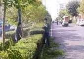 ایمن سازی و ساماندهی نقاط بی دفاع شهری