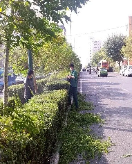 معابر و المان های شهری منطقه 4 نونوار شد