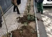 تهران ۱۴۰۰ هویت را به شمیران باز خواهد گرداند



