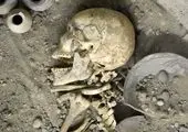 تکمیل واکسیناسیون جامانده  همکاران بانک ایران زمین در مرکز باغ موزه دفاع مقدس

