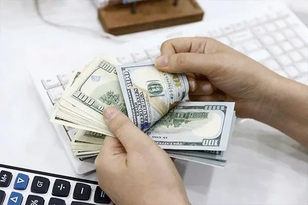 تثبیت نرخ پس از حذف ارز ترجیحی ممکن نیست