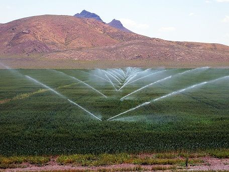 سیستم‌های آبیاری نوین در سطح ۳ هزار و ۵۰۰ هکتار اراضی استان مرکزی در دست اجراست

