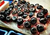 عجیب ترین عکس از دایناسور + تصویر 