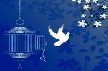 آزادی تمامی مادران زندانی جرائم مالی غیرعمد تا سقف 250 میلیون تومان به همت بانک پارسیان