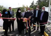 کمیته ملی المپیک پاداش یزدانی را معادل مدال طلا پرداخت کرد