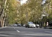 منطقه ۲۲ صاحب جاده تندرستی میشود