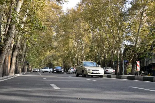 ولیعصر(عج)، یکی از قدیمی ترین راه های ارتباطی شمال تهران بهسازی شد 

