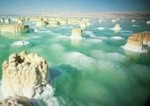 وقتی وزنه زدن سنجاب ها سوژه می شود! +تصاویر