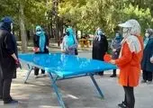 مشارکت منطقه ۱۳ با پلتفرم مپینو در راستای تحقق عدالت اجتماعی توان یابان