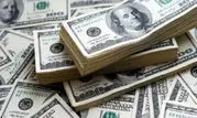دلار به کالا تبدیل شده است