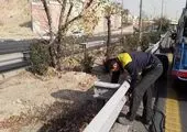 جمع آوری بیش از 700 متر طول گاردریل فرسوده از  بزرگراه های منطقه 2 پایتخت