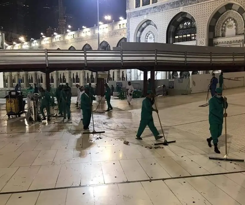 هجوم جیرجیرک‌ها به مکه! + عکس