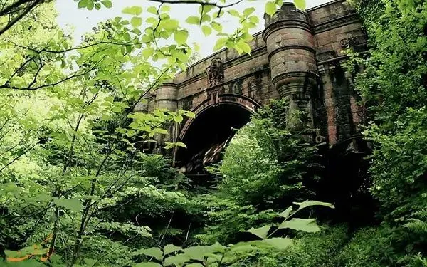 پلی که باعث خودکشی سگ‌ها می‌شود!+عکس	
