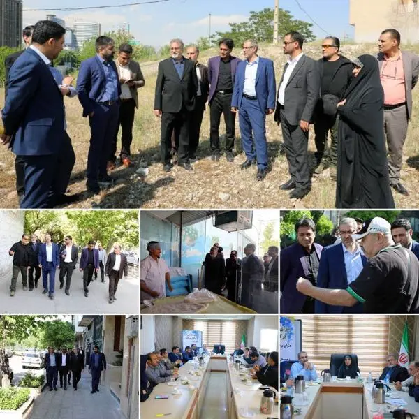 احصا مشکلات محلات در پایش نیازهای محله