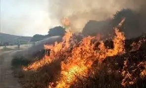 همکاری سپاه، ارتش و فراجا برای مهار بحران آتش‌سوزی گسترده جنگل‌های هیرکانی