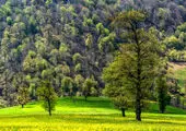 خنک کردن خانه با محصولی کم‌مصرف در سریع‌‌ترین زمان 