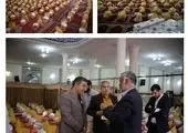 اجرای عملیات ترمیم وبهسازی معابر منطقه 13

