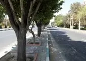دانش آموزان منطقه۴ با مهر قلم به دست می گیرند