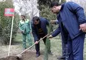 هوشمندسازی آبیاری ۵۰ هکتار از فضای سبز باغ رضوان طی دو سال گذشته