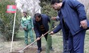 بهبود زیست در اصفهان با شعار «جای خالی را با درخت پر کنید»

