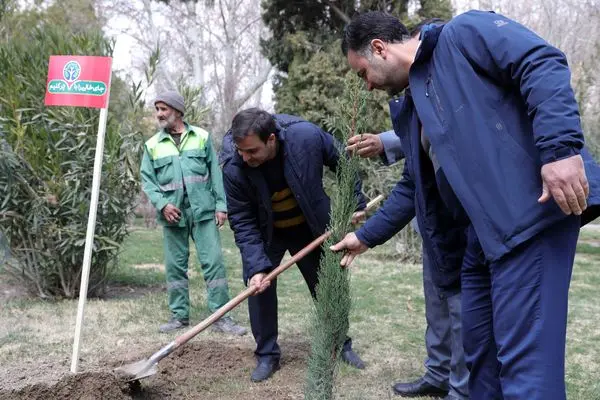 بهبود زیست در اصفهان با شعار «جای خالی را با درخت پر کنید»