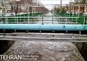 درختکاری سبب حفظ حریم و جلوگیری از توسعه بی وریه شهر تهران می شود
