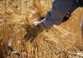 پیام سرپرست بانک توسعه تعاون به مناسبت آغاز هفته دولت