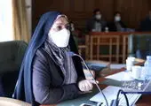 چالش های اجرای پروژه های توسعه محله ای منطقه ۶ بررسی شد