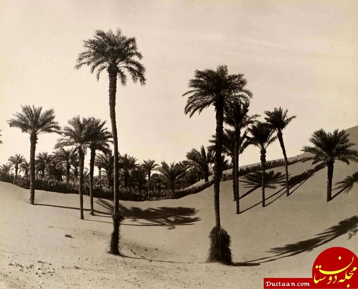 صحرای آفریقا در حدود 90 سال پیش +تصاویر