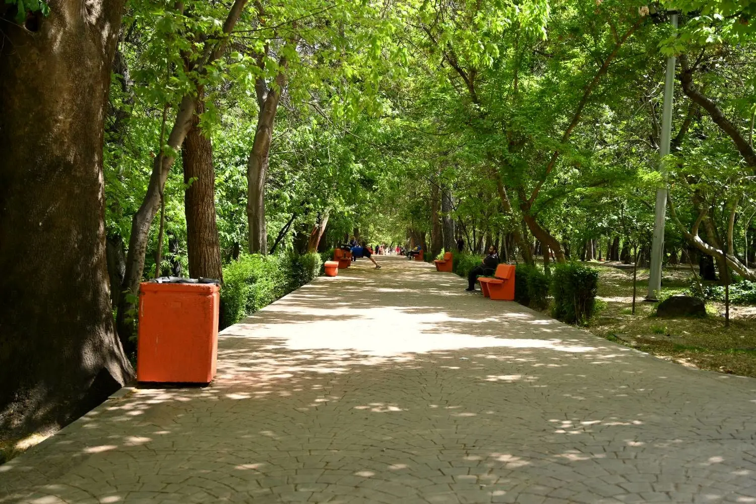 بهسازی شش بوستان فرامنطقه ای در منطقه یک تهران 

