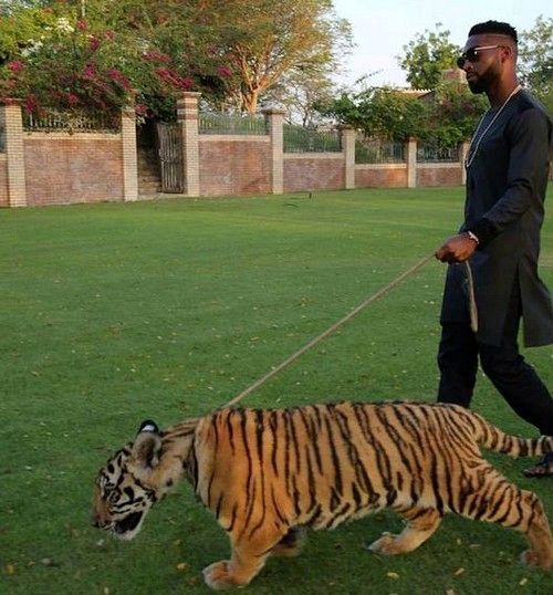 فخرفروشی عجیب بچه پولدارهای دبی در اینستاگرام! +عکس