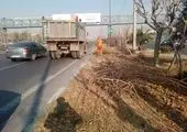 توسعه شبکه آبیاری فضای سبز در منطقه ۲ شهرداری تهران

