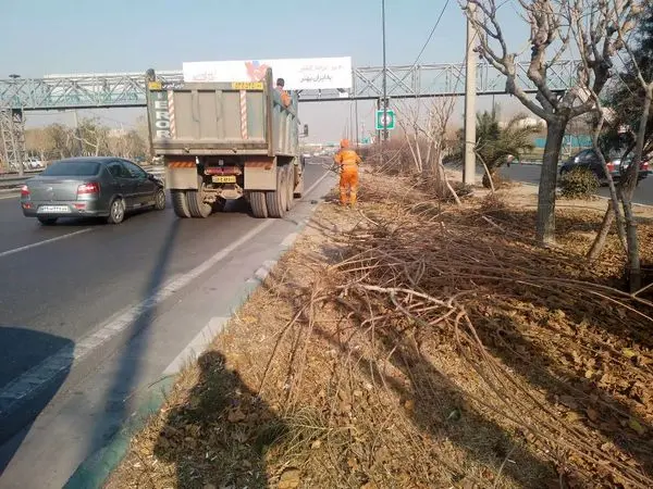 مدیریت ضایعات با جمعآوری روزانه بیش از 20 سرویس سرشاخه و شاخه در منطقه 19