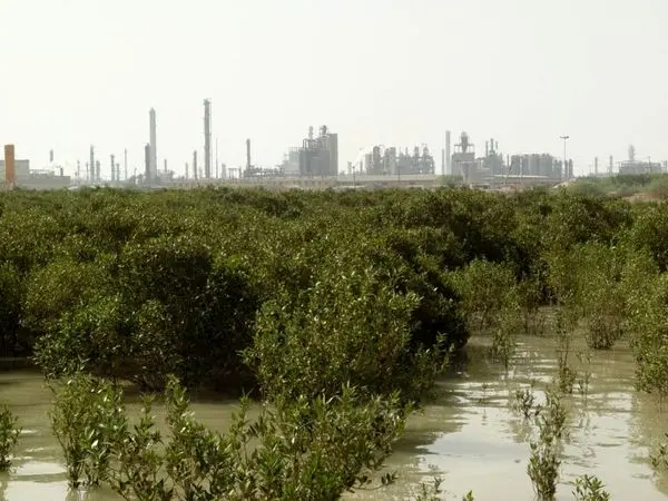 تقدیر مدیرکل حفاظت محیط زیست و مدیرکل منابع طبیعی و آبخیزداری خوزستان از مدیرعامل پتروشیمی بندرامام