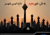 برپایی نمایشگاه عکس "راهپیمایی اربعین" در برج میلاد
