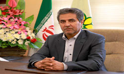 گام‌های موثر در توسعه و رونق شهرها با حمایت بانک شهر