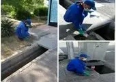 بیش از1100 منفذ در منطقه14 طعمه‌گذاری شد 