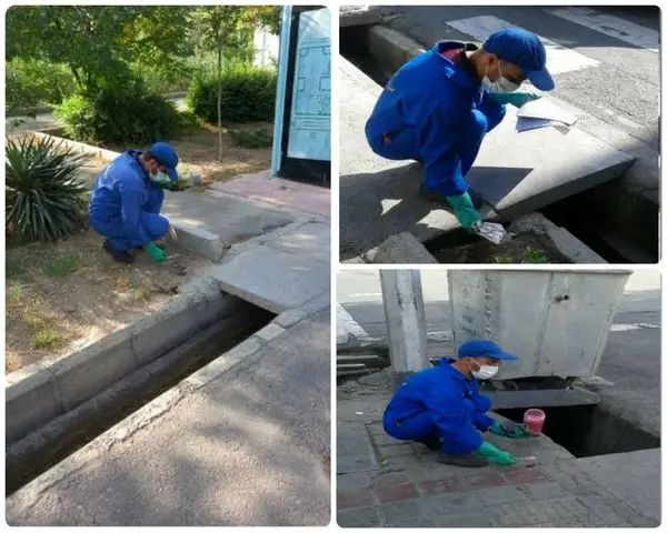 شناسایی و طعمه گذاری کلونی  های فعال  جانوران موذی منطقه15