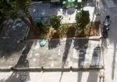 احداث  مزرعه آموزشی سالمندی در منطقه۱۳ کلید خورد 