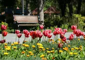 ایجاد گذر برگ ریزان و دالان نور در بوستان ملت