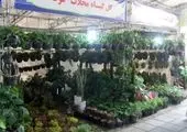 قدردانی شهرداری منطقه ۱۳ از اصناف حامی حقوق شهروندان  