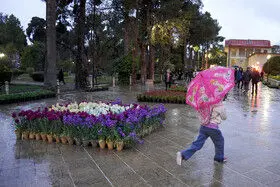 رگبار باران در برخی نقاط کشور