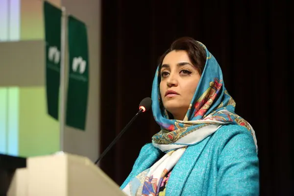 سازمان نظام صنفی رایانهای مشمول قانون عام نظام صنفی نیست