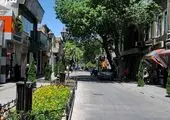جشنواره کاه آغاز شد +تصاویر 